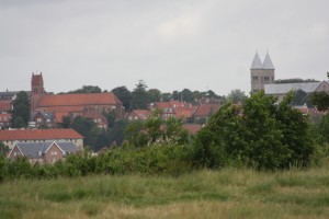 Smukt kig mod Viborgs skyline