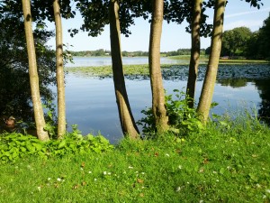 Viborg Søndersø ved Sønæs anlægget