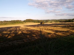 Høstarbejde på mark ved Viborg Nord