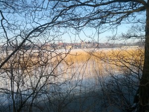 Søndersø i Viborg med is og siv