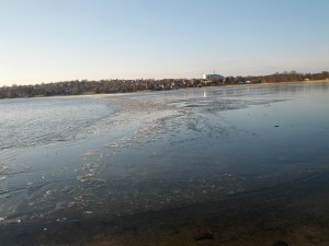 Isklumper på Nørresø i Viborg