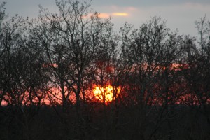 Solnedgang over Søndersø ved Gymnastikhøjskolen i Viborg