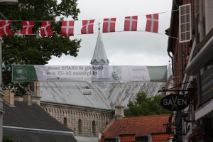 Viborg Domkirke