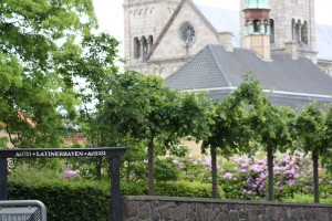 Lille kig på Viborg Domkirke over Latinerhaven