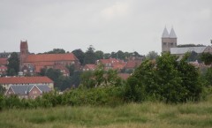 Smukt kig mod Viborgs skyline